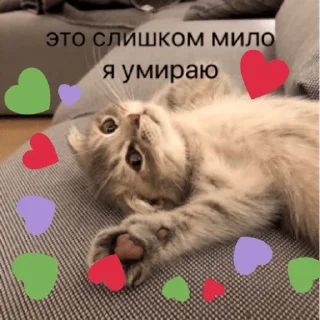 🤪
