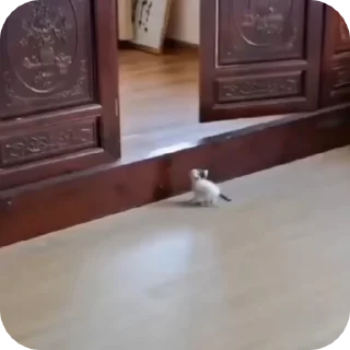 🥲