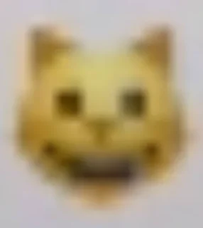 😺