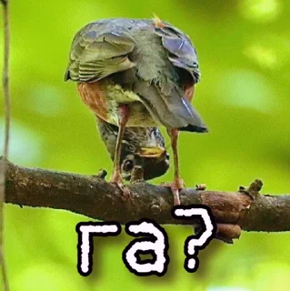 ❔