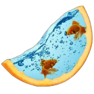 🍊