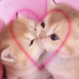 ❤️‍🩹