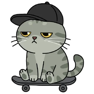🛹