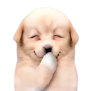 ☺️