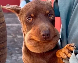 🤩