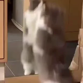 🥳