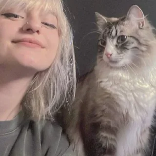 😸