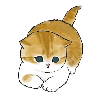 🐱