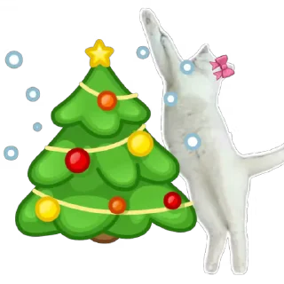 🐱