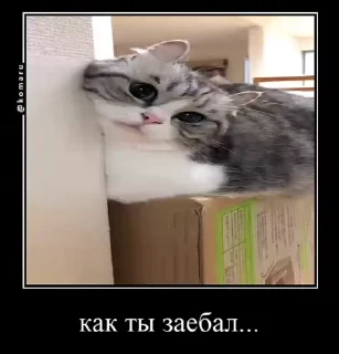 😜