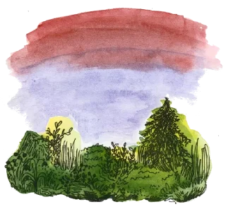 🌲