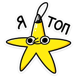 🌟