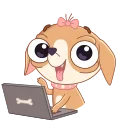 💻