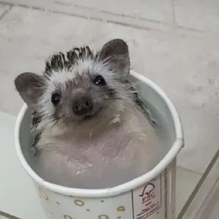💦