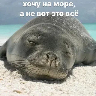 😓