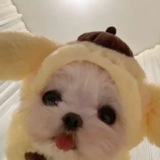 😛