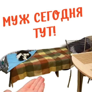 👍