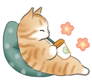 🐱