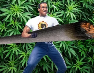 🌿