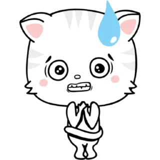 🐱