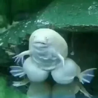 😁