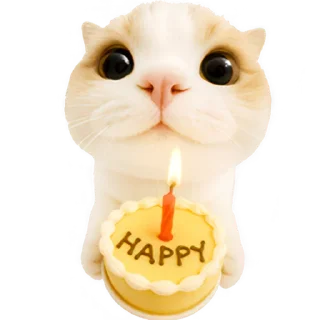 🎂