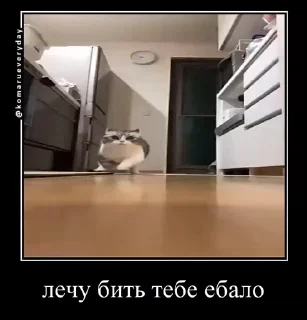 🙄