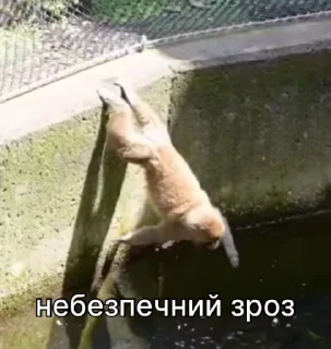 ⚠️