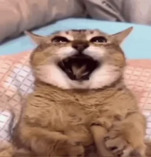 😐