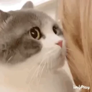 😨