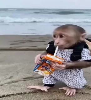 🤩