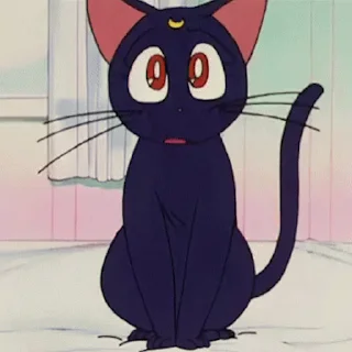 😿
