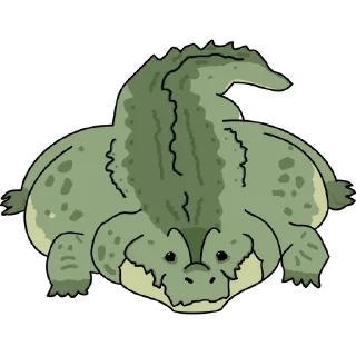 🐊