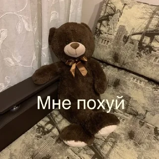 🐻