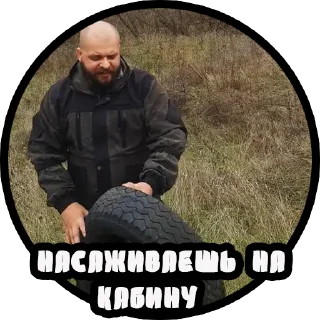 🐻