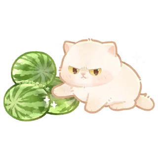 🍉