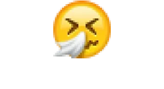 🤧