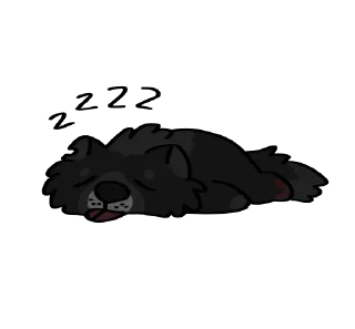😴
