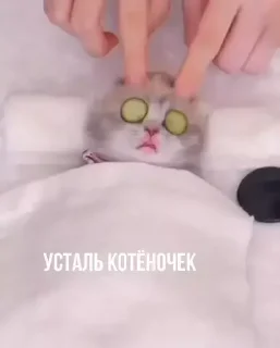 🥱