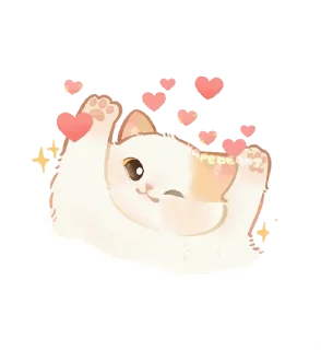 🌟