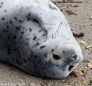 ☺️