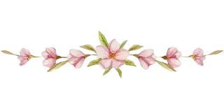 🌸