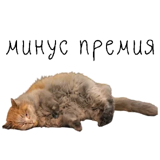 😓