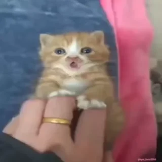 😳