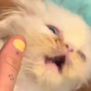 😱