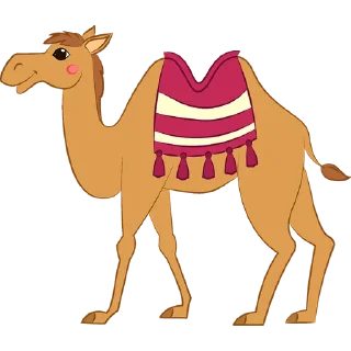 🐫