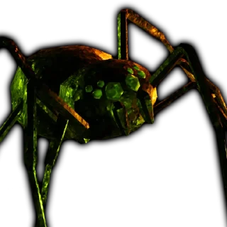 🕷