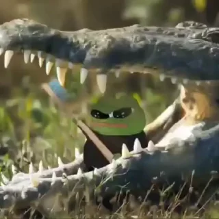 🐊