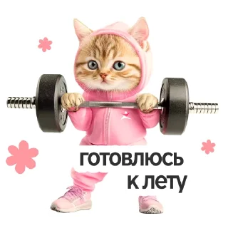 🏋️