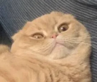 😳